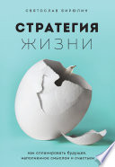 Стратегия жизни. Как спланировать будущее, наполненное смыслом и счастьем