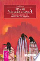 Шаман четырех стихий. Проникновение в суть магических сил природы