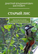 СТАРЫЙ ЛИС. Рассказы из серии «Наблюдая за природой»