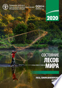 Состояние лесов мира 2020