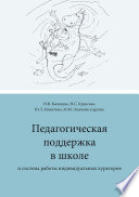 Педагогическая поддержка в школе и система работы индивидуальных кураторов