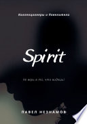 Spirit