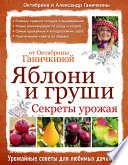 Яблони и груши: секреты урожая от Октябрины Ганичкиной