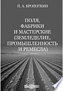 Поля, фабрики и мастерские (земледелие, промышленность и ремесла)