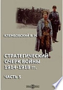 Стратегический очерк войны 1914-1918 гг по сентябрь 1916 г. Позиционная война и прорыв австрийцев юго-западным фронтом