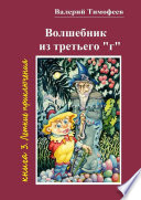 Волшебник из третьего «г». Книга 3. Летние приключения