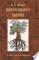 Новая школа жизни. II том. Сила и власть личности