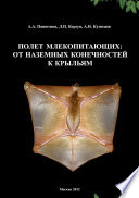 Полет млекопитающих: от наземных конечностей к крыльям