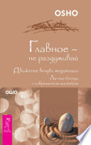 Главное – не раздумывай. Движение вглубь медитации. Личные беседы с современным мистиком