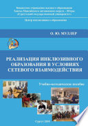 Реализация инклюзивного образования в условиях сетевого взаимодействия