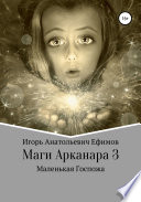 Маги Арканара 3. Маленькая Госпожа