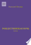 Рождественская ночь. Сказка