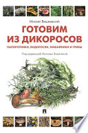 Готовим из дикоросов. Папоротники, водоросли, лишайники и грибы