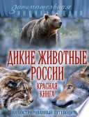 Дикие животные России. Красная книга. Иллюстрированный путеводитель