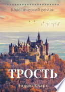 Трость