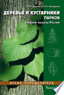 Деревья и кустарники парков средней полосы России