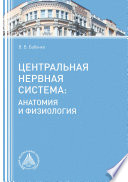 Центральная нервная система. Анатомия и физиология