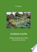 Божьи дары. Лекарственные растения на дачном участке