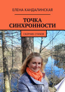 Точка синхронности. Сборник стихов