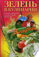 Зелень в кулинарии. Лучшие рецепты с душистыми травами