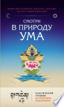 Смотри в природу ума. Классический учебник по практике Махамудры