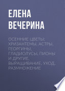 Осенние цветы: хризантемы, астры, георгины, гладиолусы, пионы и другие. Выращивание, уход, размножение