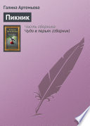 Пикник