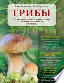Грибы. Иллюстрированное руководство по сбору, переработке, хранению