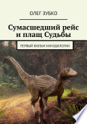 Сумасшедший рейс и плащ Судьбы. Первый фильм кинодилогии