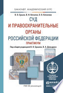 Суд и правоохранительные органы РФ. Практикум. Учебное пособие для академического бакалавриата