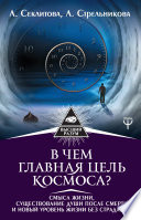 В чем главная цель Космоса? Смысл жизни, существование души после смерти и новый уровень жизни без страданий