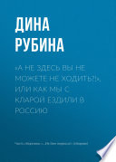 «А не здесь вы не можете не ходить?!», или Как мы с Кларой ездили в Россию