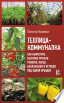 Теплица-коммуналка. Как вырастить высокие урожаи томатов, перца, баклажанов и огурцов под одной крышей