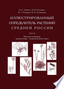 Иллюстрированный определитель растений Средней России. Том 2. Покрытосеменные (двудольные: раздельнолепестные)