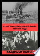 В огне братоубийственной резни... 1918-1919 годы