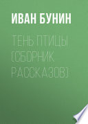 Тень птицы