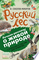 Русский лес. С вопросами и ответами для почемучек