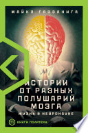 Истории от разных полушарий мозга. Жизнь в нейронауке