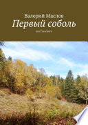 Первый соболь. Шестая книга