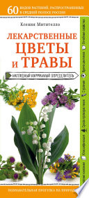 Лекарственные растения и травы. Определитель трав русских лесов и полей