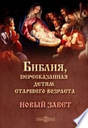 Библия, пересказанная детям старшего возраста. Новый завет