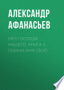 Меч Господа нашего. Книга 3. Помни имя своё!