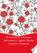 Ангелина в стране магов. Поединок с Забывалой. Книга 1