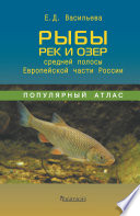 Рыбы рек и озёр средней полосы Европейской части России