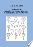 Цикадовые семейства Cixiidae России и сопредельных территорий