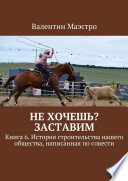 Не хочешь? Заставим. Книга 6. История строительства нашего общества, написанная по совести