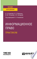 Информационное право. Практикум. Учебное пособие для вузов