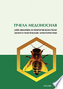 Пчела медоносная (Apis mellifera) в генетическом поле. Эколого-генетические характеристики