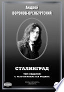 Сталинград. Том седьмой. С чего начинается Родина