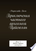 Приключения частного археолога Цайсюлян. Том 1. Тайна древней шкатулки